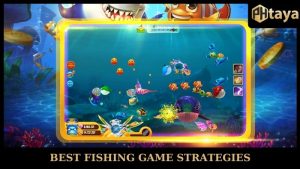 Best Fishing Game Strategies - Experience From PHTAYA